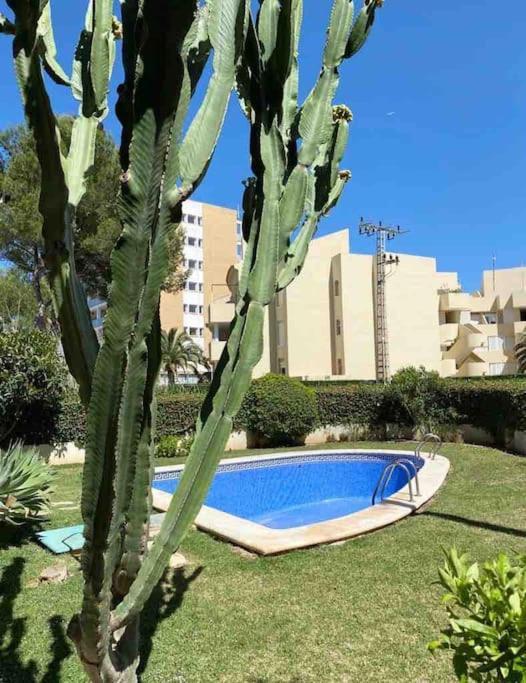 Apartamento El Canal Jávea Exteriér fotografie